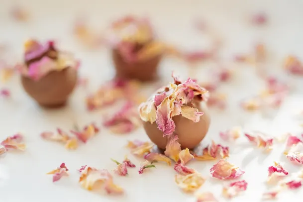 Kasino Palm Slots Android/iOS Aplikácia